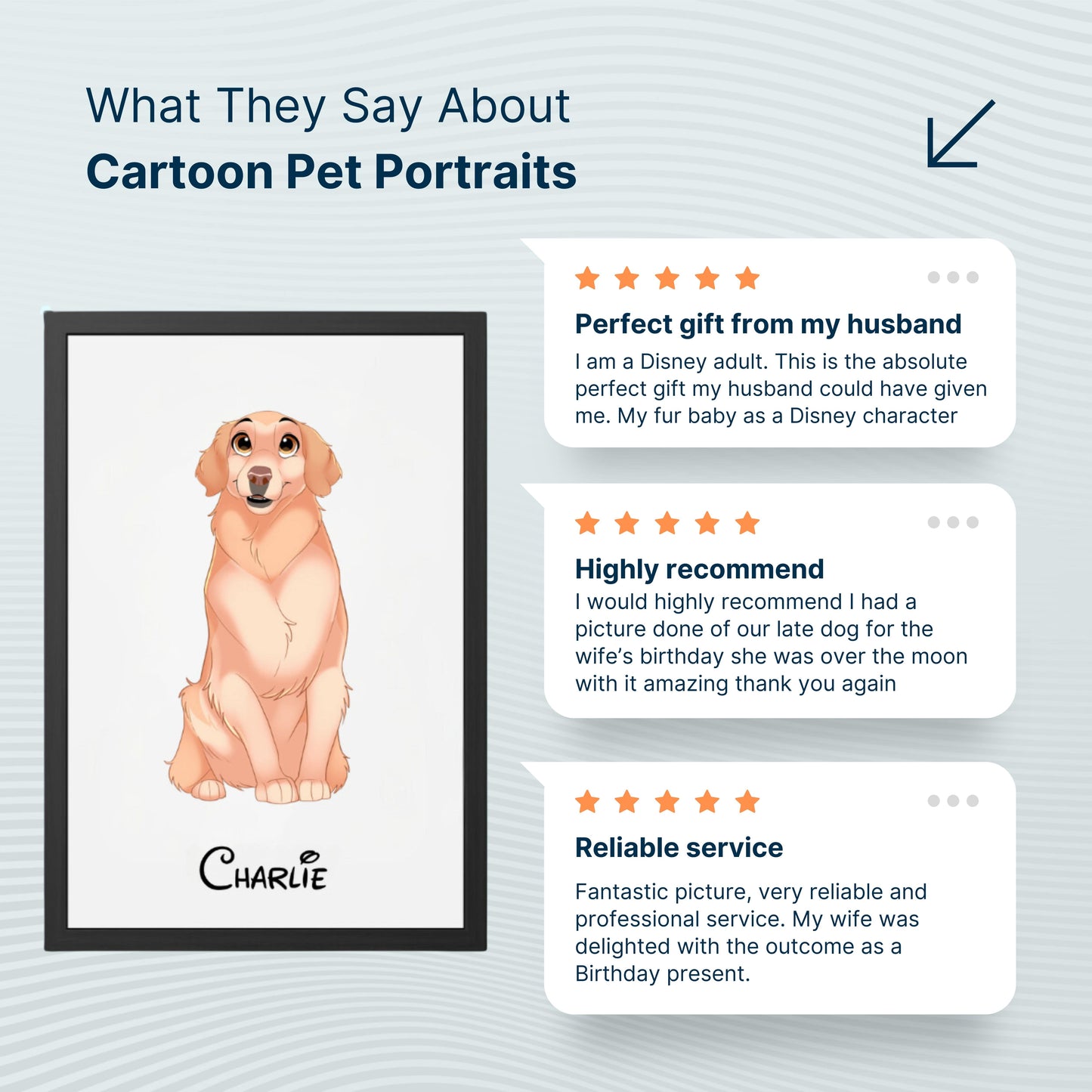 Custom Cartoon Pet Blanket