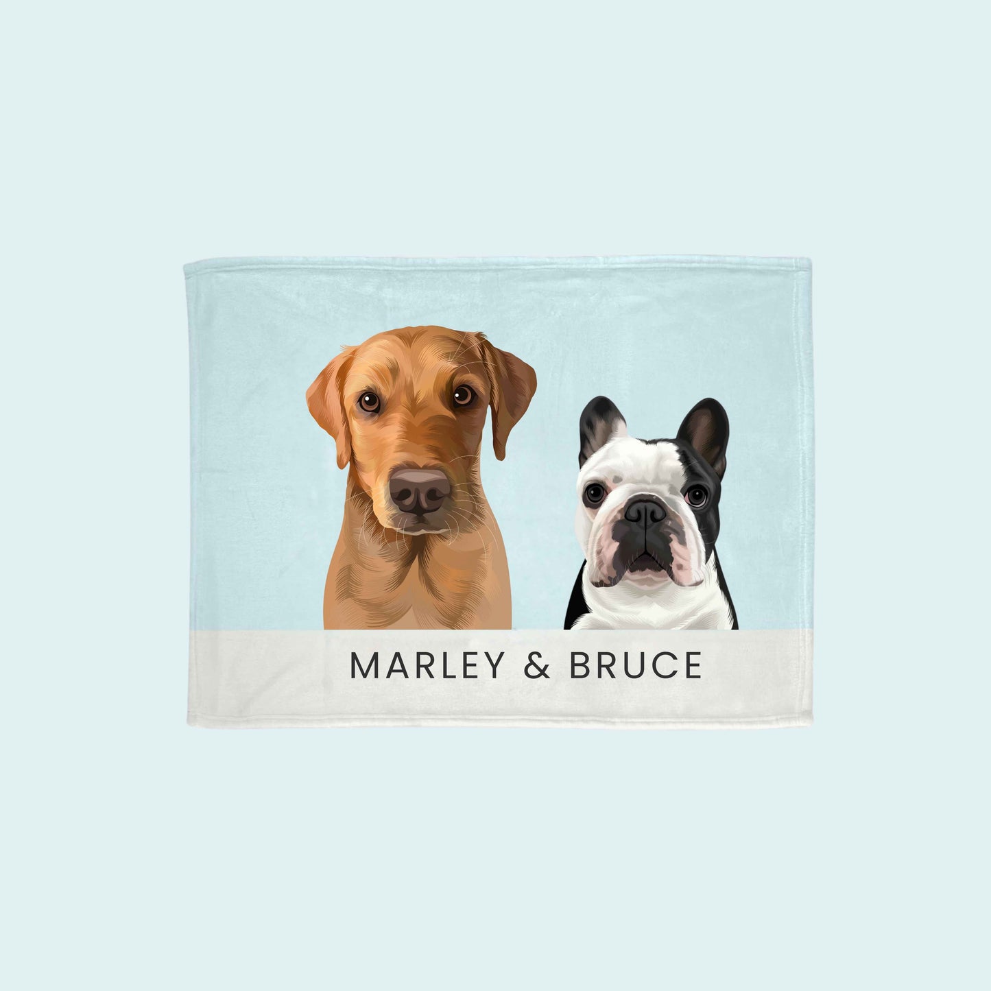 Custom Modern Pet Blanket